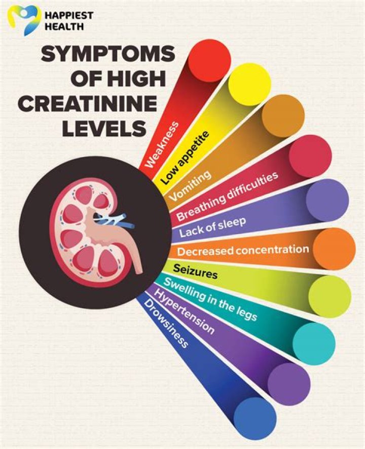 Amy Winehouse will have to pass drug test before performing at Grammys