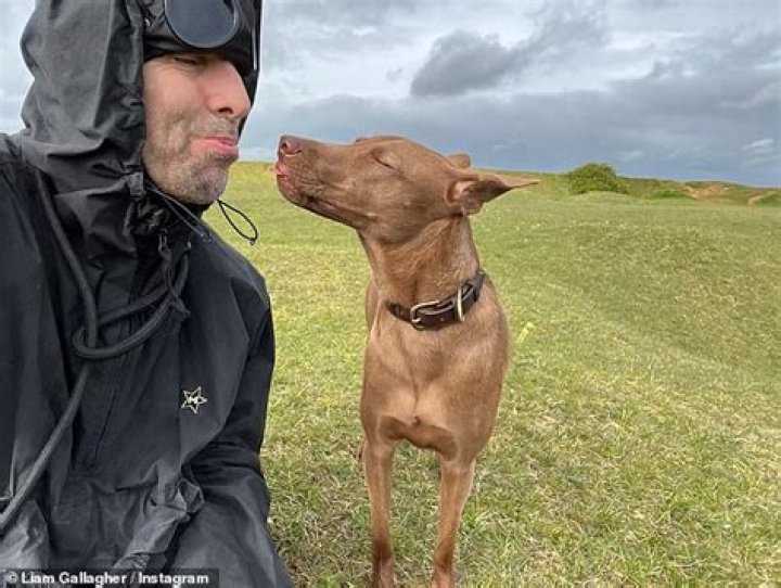 Andy Cohen rehomed his rescue dog after seven years due to aggression