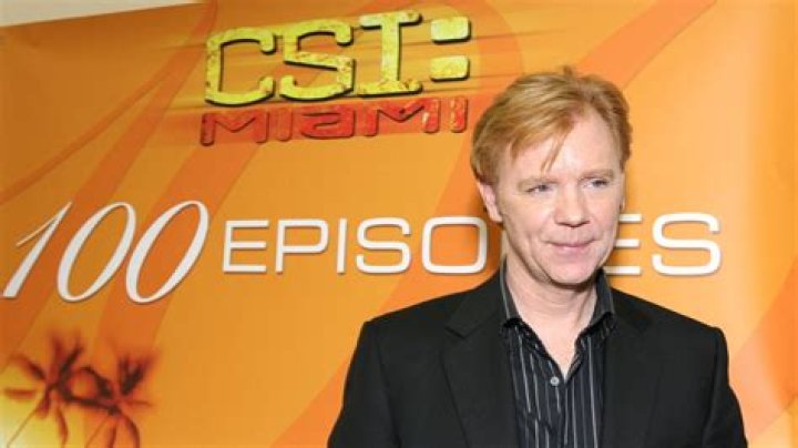 David Caruso’s ex sues over child support & assault