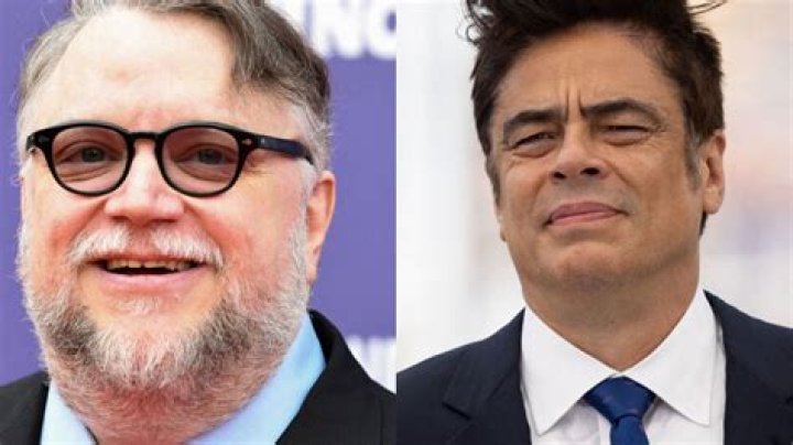 Is Benicio del Toro related to Guillermo del Toro? - Celebrity.tn