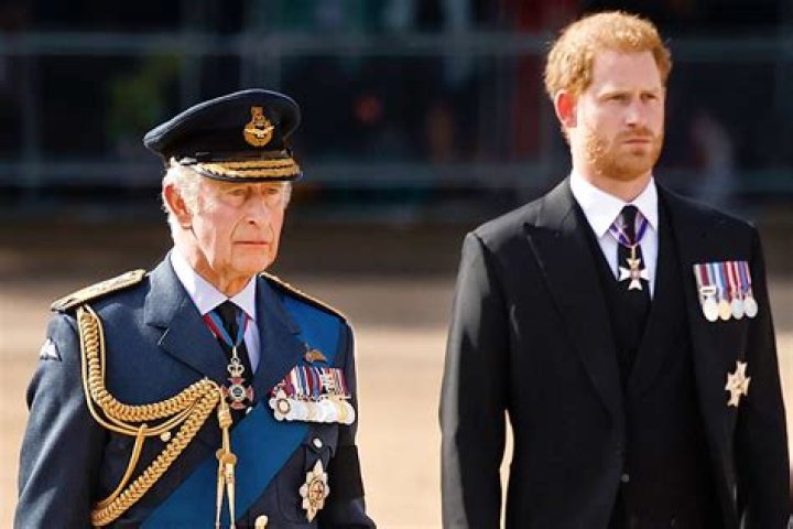 It sounds like ‘people’ are mad that King Charles & Prince Harry met alone