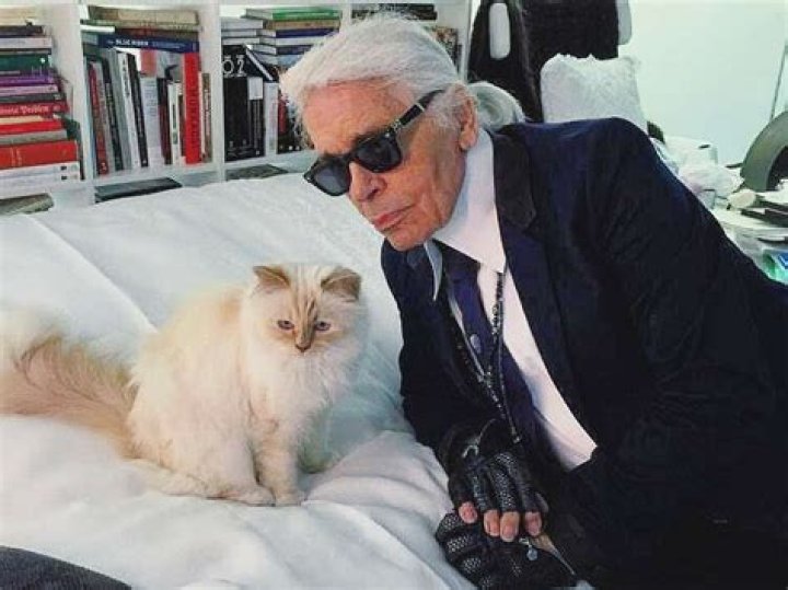 Karl Lagerfeld on ‘spoiled’ Choupette: ‘She is the most beautiful cat in the world’