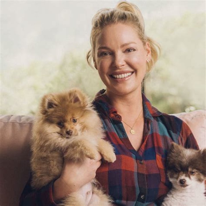 Katherine Heigl helps ship unwanted chihuahuas to new homes