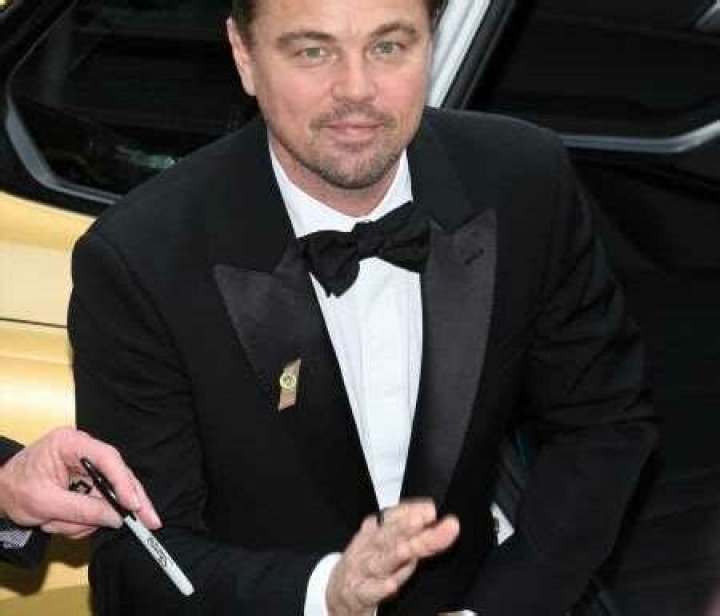 “Leo DiCaprio is on vacation with 22-year-old model Meghan Roche” links