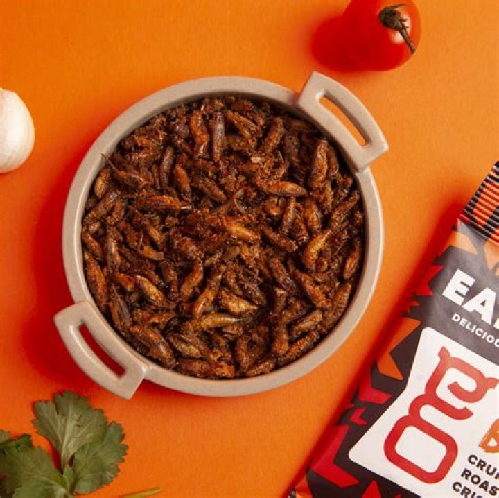 Nicholas Hoult ate BBQ crickets & caramel cockroaches on ‘Renfield’