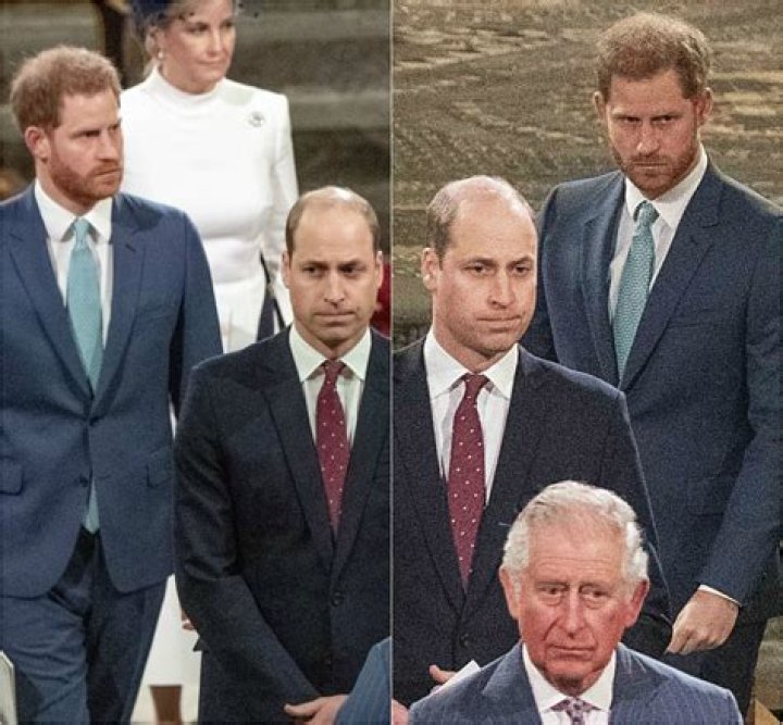 Nicholl: Prince William ‘simply can’t forgive’ Harry for refusing to be his wingman