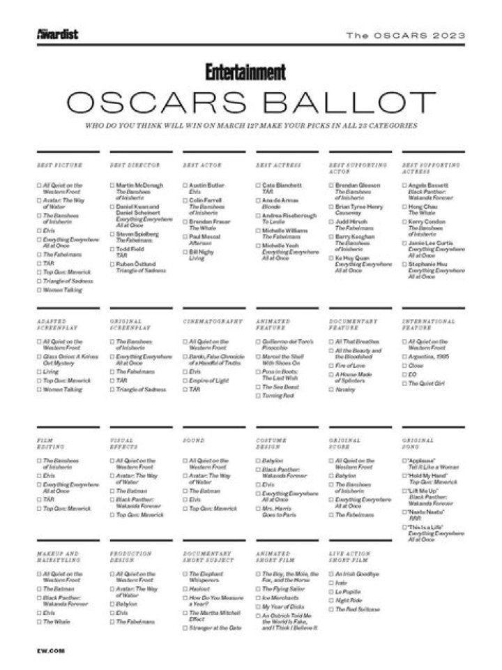 Oscar ballots: Voters think Lydia Tar is real & they hate ‘Banshees’ & ‘Blonde’