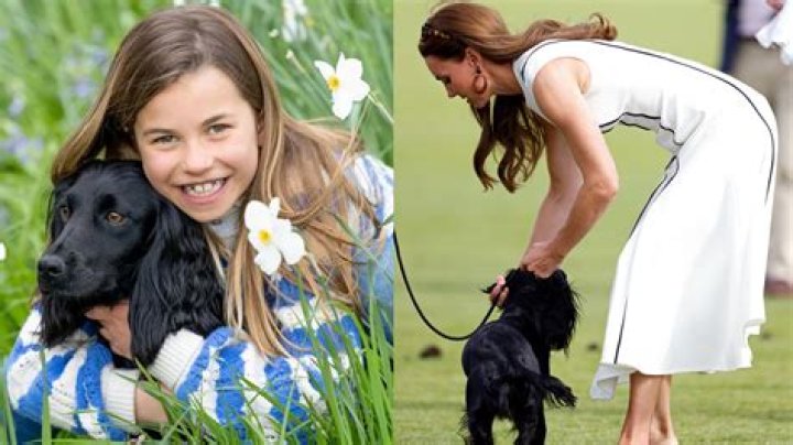 Princess Charlotte poses with dog Orla for her seventh birthday portraits