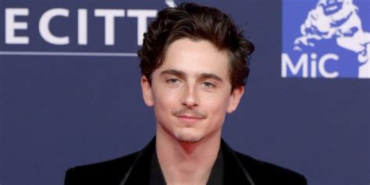 “Timothee Chalamet will be co-chair this year’s Met Gala in September” links