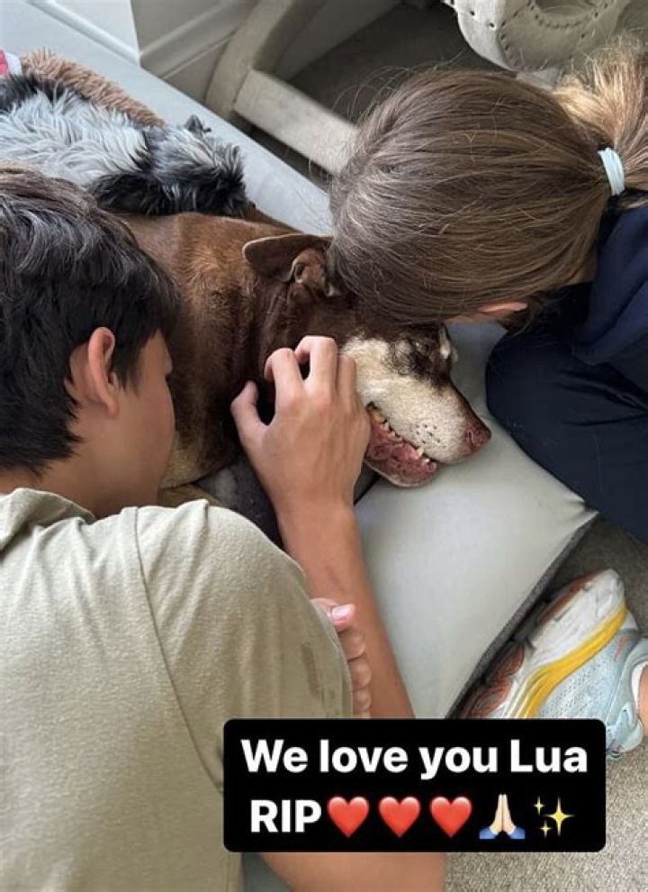 Tom Brady & Gisele adopted a third dog, a tiny rescue puppy named Fluffy