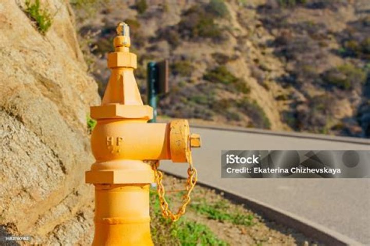 Tom Selleck stole thousands of gallons of water from a California fire hydrant